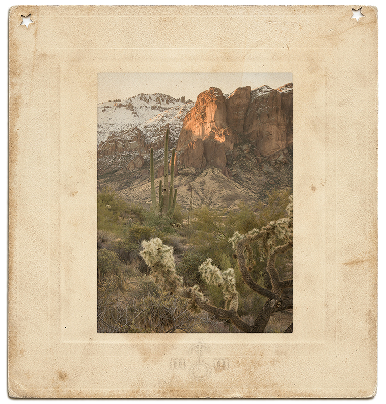 An antique rotogravure print; a photograph of the Sonoran Desert after an overnight snow storm