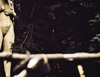 Courtyard, a photograph by Michael Maersch