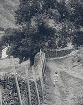 Happy Day, a photograph by Michael Maersch