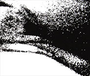 Loinz (see), a silkscreen print by Michael Maersch