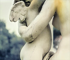 Mother's Love, a photograph by Michael Maersch