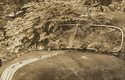 Poncho, a photograph by Michael Maersch