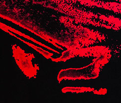 Red Handed, a silkscreen print by Michael Maersch