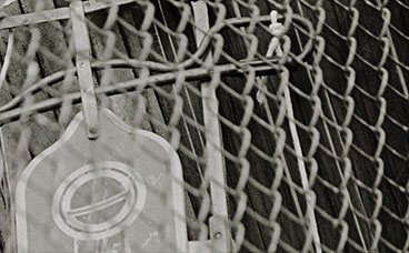 Rocketship, a photograph by Michael Maersch