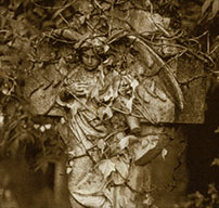 Schneewittchen-2, a photograph by Michael Maersch