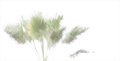 Storm, a photograph by Michael Maersch