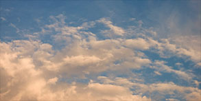 Summer Stream, a photograph by Michael Maersch