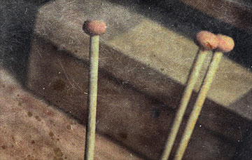 Treasure, a photograph by Michael Maersch