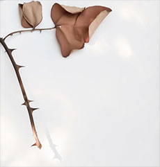 Una Muerte Hermosa-First Instance, a photograph by Michael Maersch