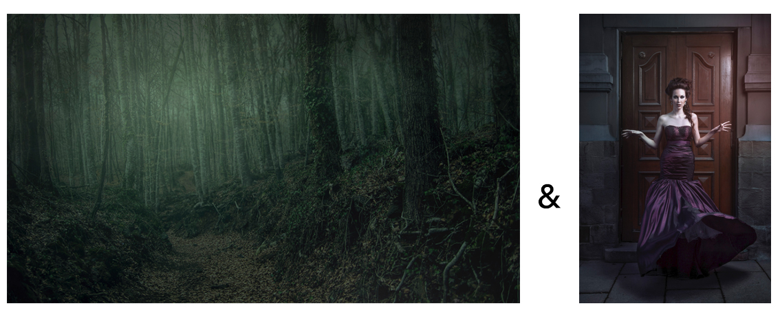 stock photo elements used in the montage illustration "the witch" by michael maersch